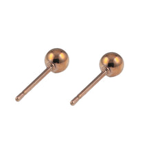 画像をギャラリービューアに読み込む, ESS300 STAINLESS STEEL EARRING AAB CO..