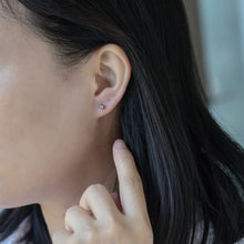 画像をギャラリービューアに読み込む, ESS300 STAINLESS STEEL EARRING AAB CO..