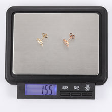 画像をギャラリービューアに読み込む, ESS640 STAINLESS STEEL EARRING AAB CO..