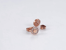 画像をギャラリービューアに読み込む, ESS640 STAINLESS STEEL EARRING AAB CO..
