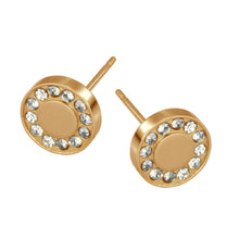画像をギャラリービューアに読み込む, ESS640 STAINLESS STEEL EARRING AAB CO..