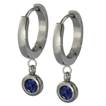 画像をギャラリービューアに読み込む, ESS651 STAINLESS STEEL EARRING WITH FOIL STONE AAB CO..