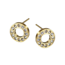 画像をギャラリービューアに読み込む, ESS652 STAINLESS STEEL EARRING AAB CO..