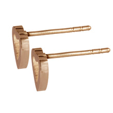 画像をギャラリービューアに読み込む, ESS661 STAINLESS STEEL EARRING AAB CO..