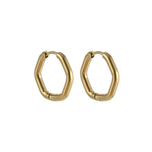 画像をギャラリービューアに読み込む, ESS731 STAINLESS STEEL HEXAGON SHAPE EARRING AAB CO..