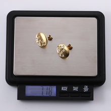 画像をギャラリービューアに読み込む, ESS756 STAINLESS STEEL EARRING WITH CZ AAB CO..