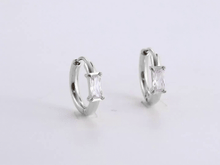 画像をギャラリービューアに読み込む, stainless steel earring, hoop earring, lady jewelry