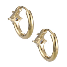 画像をギャラリービューアに読み込む, stainless steel earring, CZ earring, Hoop earring, lady earring