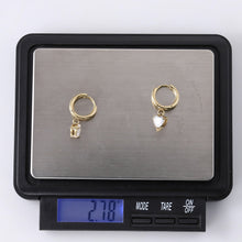 画像をギャラリービューアに読み込む, stainless steel jewelry, heart earring, lady jewelry, CZ earring