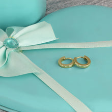 画像をギャラリービューアに読み込む, MESS23 STAINLESS STEEL EARRING AAB CO..