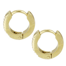 画像をギャラリービューアに読み込む, MESS26 STAINLESS STEEL EARRING WITH CZ AAB CO..