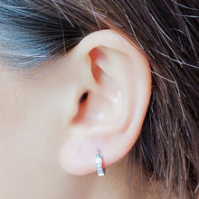 画像をギャラリービューアに読み込む, MESS26 STAINLESS STEEL EARRING WITH CZ AAB CO..