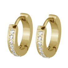 画像をギャラリービューアに読み込む, MESS27 STAINLESS STEEL EARRING WITH CZ AAB CO..