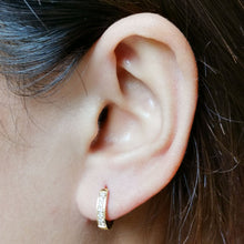 画像をギャラリービューアに読み込む, MESS27 STAINLESS STEEL EARRING WITH CZ AAB CO..