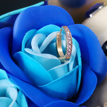 画像をギャラリービューアに読み込む, MESS28 STAINLESS STEEL EARRING WITH CZ AAB CO..