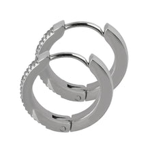 画像をギャラリービューアに読み込む, MESS28 STAINLESS STEEL EARRING WITH CZ AAB CO..