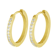 画像をギャラリービューアに読み込む, MESS29 STAINLESS STEEL EARRING WITH CZ AAB CO..