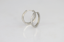 画像をギャラリービューアに読み込む, MESS29 STAINLESS STEEL EARRING WITH CZ AAB CO..