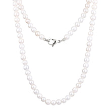 画像をギャラリービューアに読み込む, NSS861 STAINLESS STEEL NECKLACE WITH SHELL PEARL AAB CO..