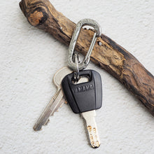 画像をギャラリービューアに読み込む, カラビナ【GKSS08】