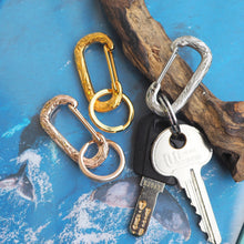 画像をギャラリービューアに読み込む, カラビナ【GKSS08】