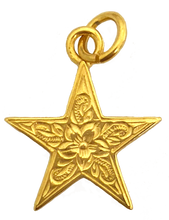 画像をギャラリービューアに読み込む, セール☆スターペンダント 【GHSS80.P】