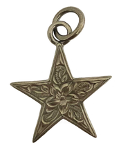 画像をギャラリービューアに読み込む, セール☆スターペンダント 【GHSS80.P】