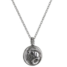 画像をギャラリービューアに読み込む, PSS1195 Stainless Steel Zodiac Pendant -- Capricornus AAB CO..
