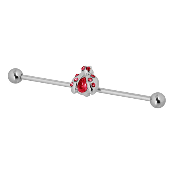 【BP特別商品】TRDT02 BARBELL WITH BATTERFLY DESIGN